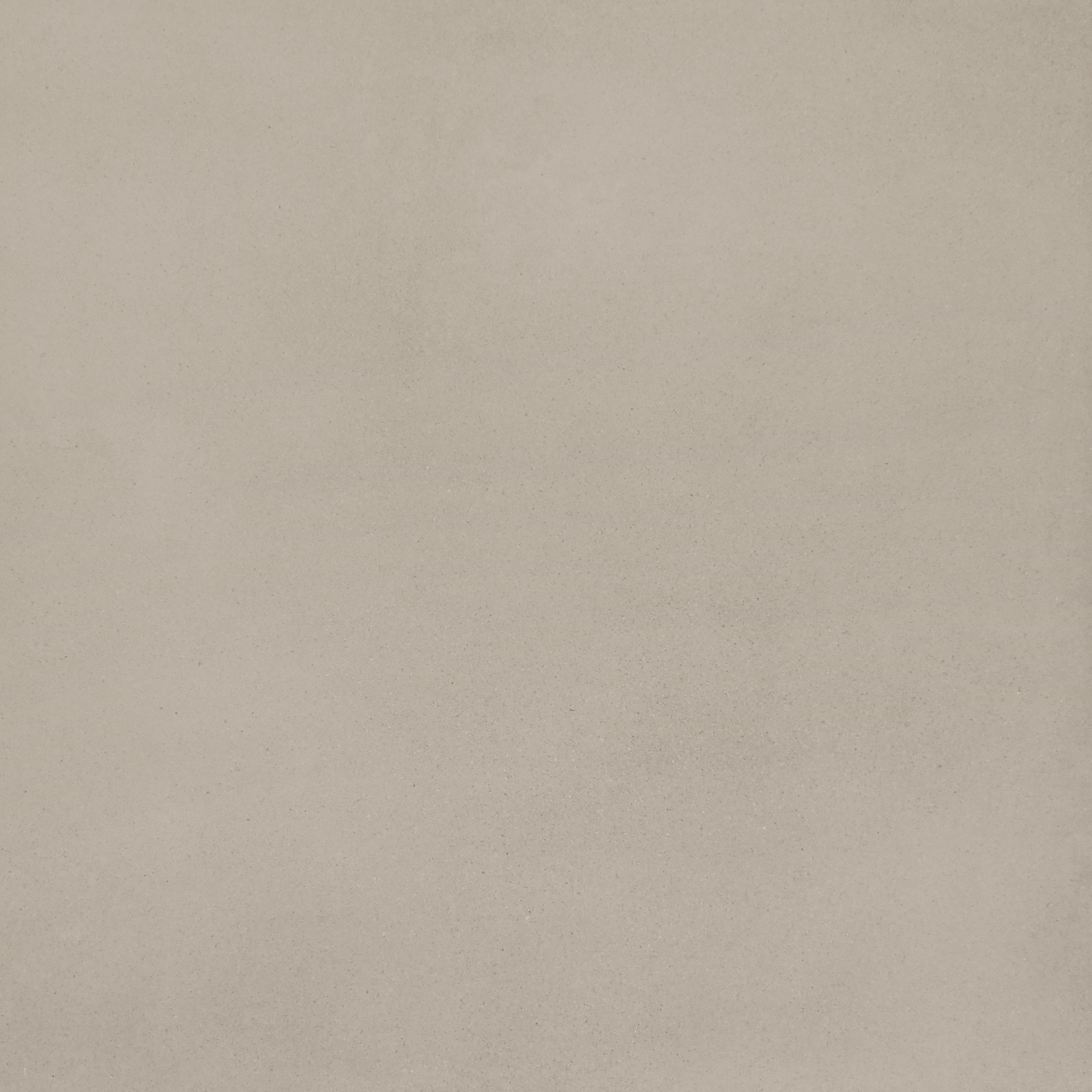 Evolution Gris